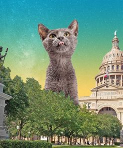 Austin
