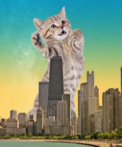 Chicago